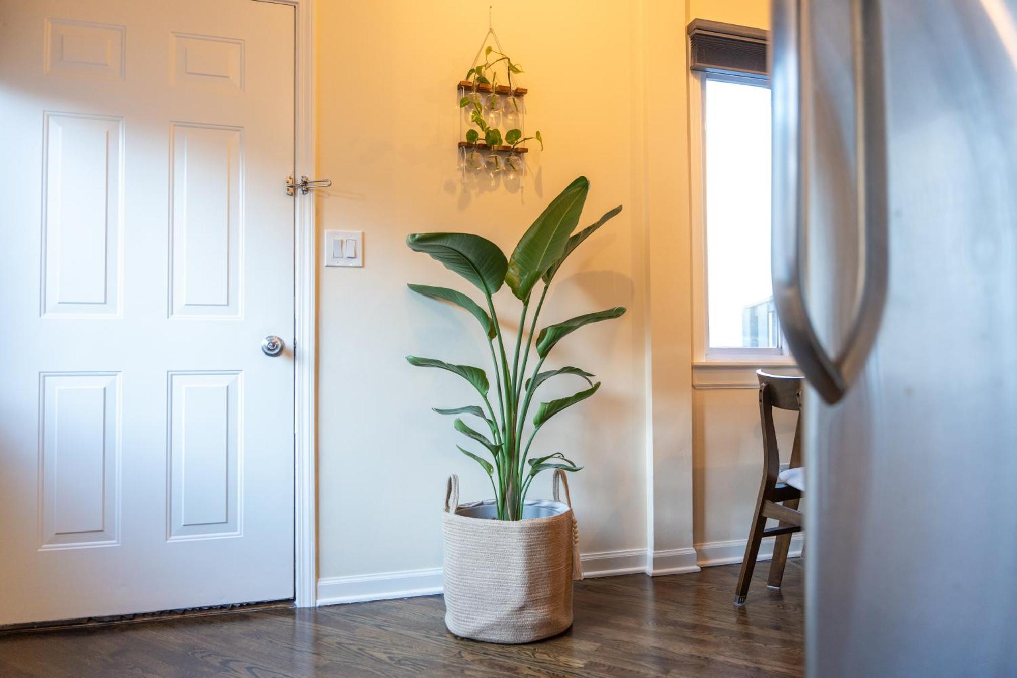 שיקגו Bucktown Private Condo מראה חיצוני תמונה